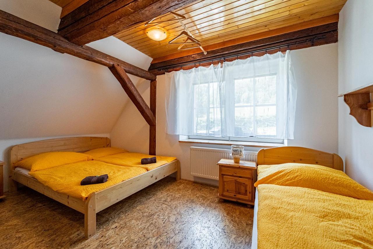 Family Apartments V Zatisi Dolní Morava エクステリア 写真