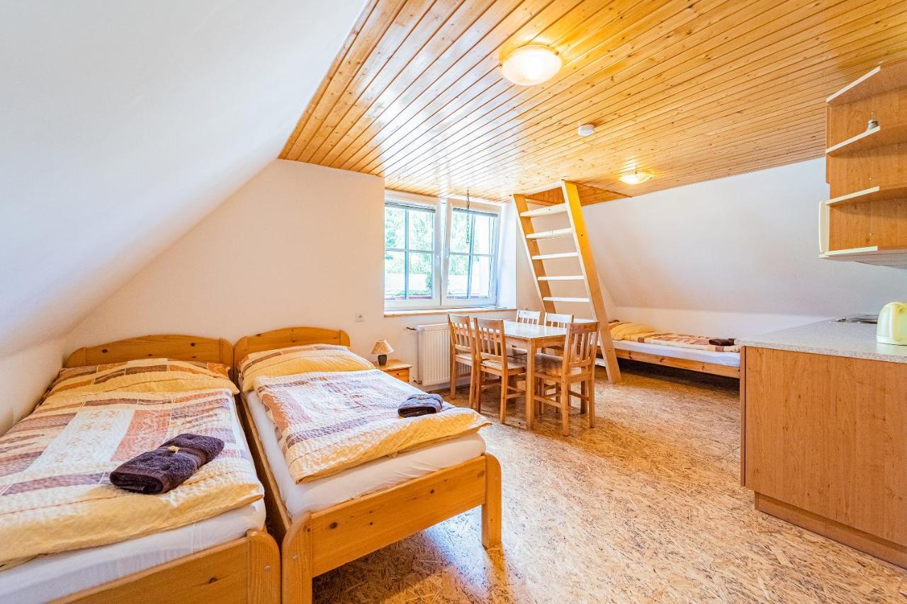 Family Apartments V Zatisi Dolní Morava エクステリア 写真
