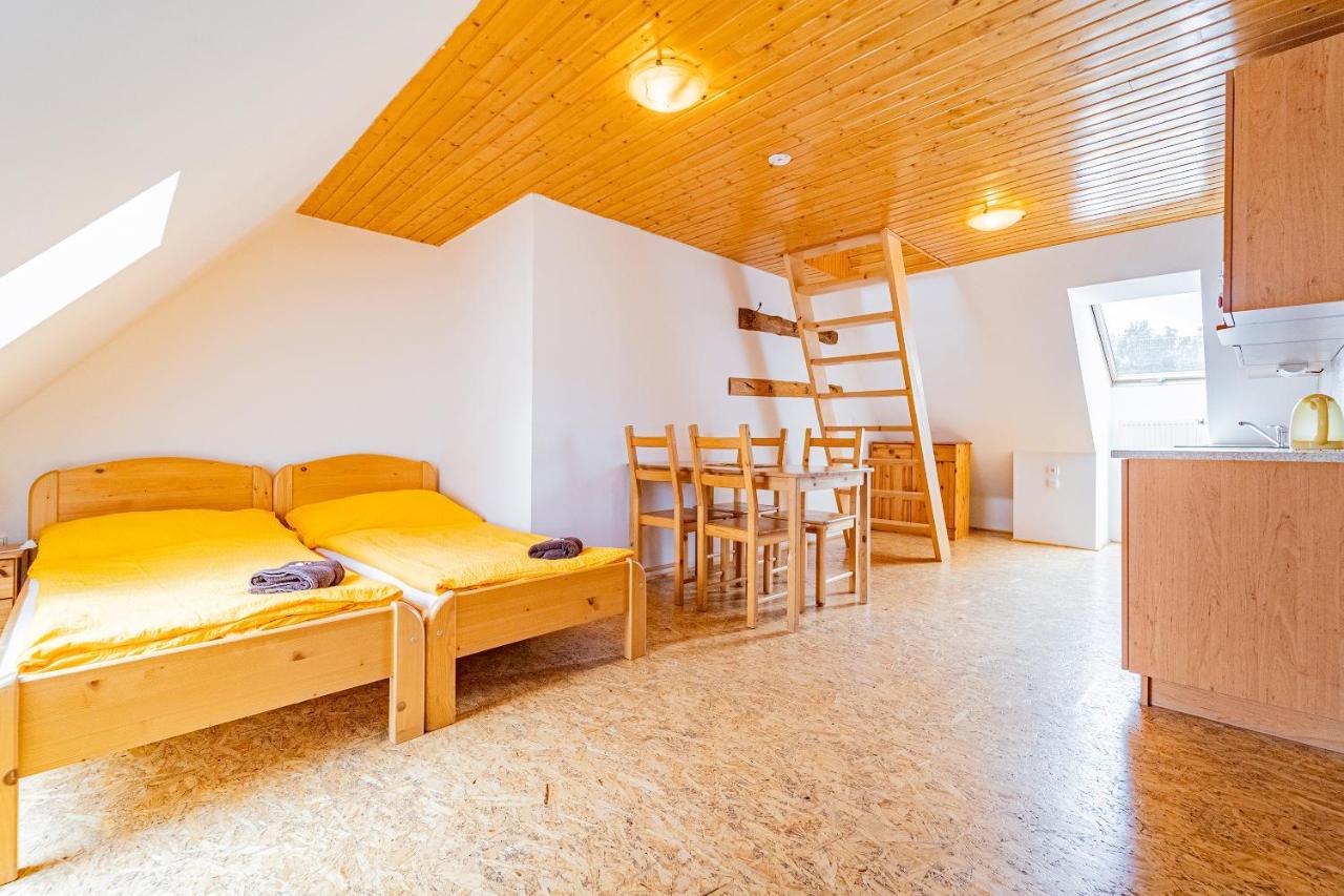 Family Apartments V Zatisi Dolní Morava エクステリア 写真